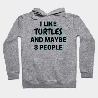 I Like Turtles And Maybe 3 People Hoodie